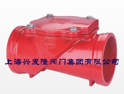 沟槽式橡胶瓣止回阀
